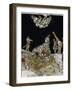 Stories of Martyrs of Aunania-null-Framed Giclee Print