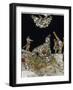Stories of Martyrs of Aunania-null-Framed Giclee Print