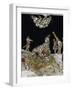 Stories of Martyrs of Aunania-null-Framed Giclee Print