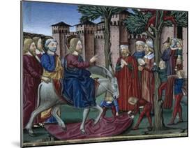 Stories of Saint Joachim-Cristoforo de Predis-Mounted Art Print