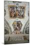 Stories of Salomon-Pietro da Cortona-Mounted Giclee Print