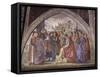 Stories of St. Francis, 1482-1485-null-Framed Stretched Canvas