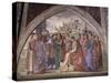 Stories of St. Francis, 1482-1485-null-Stretched Canvas