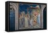 Stories of the Christ the Adoration of the Magi-Giotto di Bondone-Framed Stretched Canvas