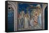 Stories of the Christ the Adoration of the Magi-Giotto di Bondone-Framed Stretched Canvas