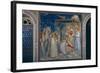 Stories of the Christ the Adoration of the Magi-Giotto di Bondone-Framed Photographic Print