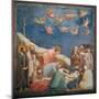 Stories of the Passion, Mourning over Dead Christ-Giotto di Bondone-Mounted Art Print