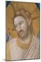 Stories of the Passion of Christ: the Resurrection-Giotto di Bondone-Mounted Giclee Print