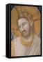 Stories of the Passion of Christ: the Resurrection-Giotto di Bondone-Framed Stretched Canvas