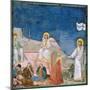 Stories of the Passion of Christ the Resurrection-Giotto di Bondone-Mounted Giclee Print