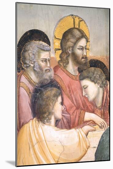 Stories of the Passion the Last Supper-Giotto di Bondone-Mounted Giclee Print