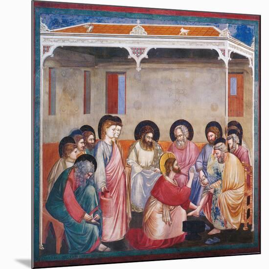 Stories of the Passion the Washing of the Feet-Giotto di Bondone-Mounted Giclee Print