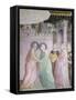 Stories of Virgin: Meeting at Golden Gate, Fresco by Taddeo Gaddi-null-Framed Stretched Canvas