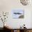 Stork Approaches its Nest in Holzen-null-Photographic Print displayed on a wall