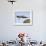 Stork Approaches its Nest in Holzen-null-Framed Photographic Print displayed on a wall