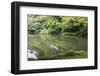 Stork at Hisagoike Pond in Summer, Kenrokuen, One of Japan's Three Most Beautiful Landscape Gardens-Eleanor Scriven-Framed Premium Photographic Print