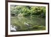 Stork at Hisagoike Pond in Summer, Kenrokuen, One of Japan's Three Most Beautiful Landscape Gardens-Eleanor Scriven-Framed Photographic Print