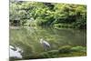 Stork at Hisagoike Pond in Summer, Kenrokuen, One of Japan's Three Most Beautiful Landscape Gardens-Eleanor Scriven-Mounted Photographic Print