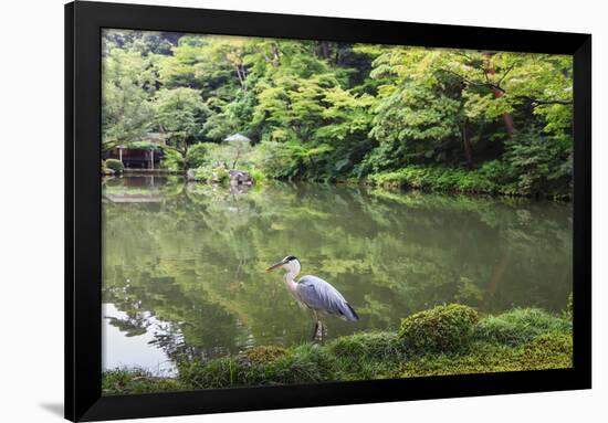 Stork at Hisagoike Pond in Summer, Kenrokuen, One of Japan's Three Most Beautiful Landscape Gardens-Eleanor Scriven-Framed Photographic Print