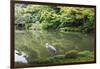 Stork at Hisagoike Pond in Summer, Kenrokuen, One of Japan's Three Most Beautiful Landscape Gardens-Eleanor Scriven-Framed Photographic Print