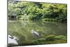 Stork at Hisagoike Pond in Summer, Kenrokuen, One of Japan's Three Most Beautiful Landscape Gardens-Eleanor Scriven-Mounted Photographic Print