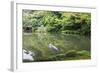 Stork at Hisagoike Pond in Summer, Kenrokuen, One of Japan's Three Most Beautiful Landscape Gardens-Eleanor Scriven-Framed Photographic Print