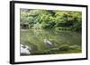 Stork at Hisagoike Pond in Summer, Kenrokuen, One of Japan's Three Most Beautiful Landscape Gardens-Eleanor Scriven-Framed Photographic Print