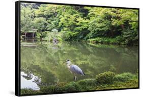 Stork at Hisagoike Pond in Summer, Kenrokuen, One of Japan's Three Most Beautiful Landscape Gardens-Eleanor Scriven-Framed Stretched Canvas