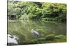 Stork at Hisagoike Pond in Summer, Kenrokuen, One of Japan's Three Most Beautiful Landscape Gardens-Eleanor Scriven-Stretched Canvas