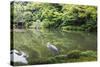 Stork at Hisagoike Pond in Summer, Kenrokuen, One of Japan's Three Most Beautiful Landscape Gardens-Eleanor Scriven-Stretched Canvas