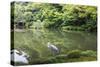 Stork at Hisagoike Pond in Summer, Kenrokuen, One of Japan's Three Most Beautiful Landscape Gardens-Eleanor Scriven-Stretched Canvas