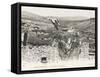 Stork Nesting on a Rooftop, Constantine, Algeria-null-Framed Stretched Canvas