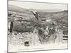 Stork Nesting on a Rooftop, Constantine, Algeria-null-Mounted Photographic Print