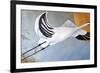 Stork-Jan Panico-Framed Giclee Print