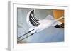 Stork-Jan Panico-Framed Giclee Print