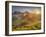 Storkonufell, Mofell, Fjallabak, South Iceland, Iceland-Rainer Mirau-Framed Photographic Print