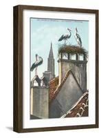 Storks in Strasbourg, France-null-Framed Art Print