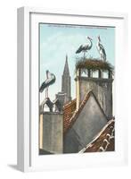 Storks in Strasbourg, France-null-Framed Art Print