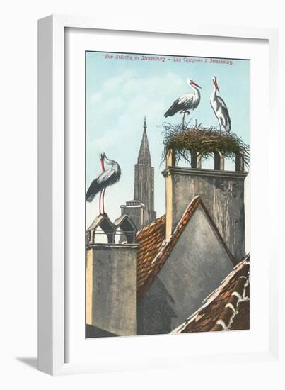 Storks in Strasbourg, France-null-Framed Art Print