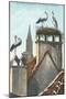Storks in Strasbourg, France-null-Mounted Art Print
