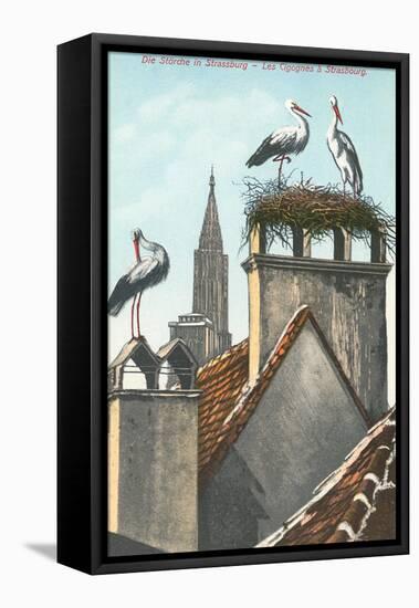 Storks in Strasbourg, France-null-Framed Stretched Canvas