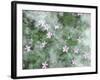 Storksbill Flowers Nestled in Cottonwood Seeds-Steve Terrill-Framed Photographic Print