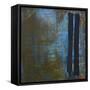 Storm, 2004-Mathew Clum-Framed Stretched Canvas