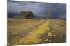 Storm Approaches-Eleanor-Mounted Photographic Print