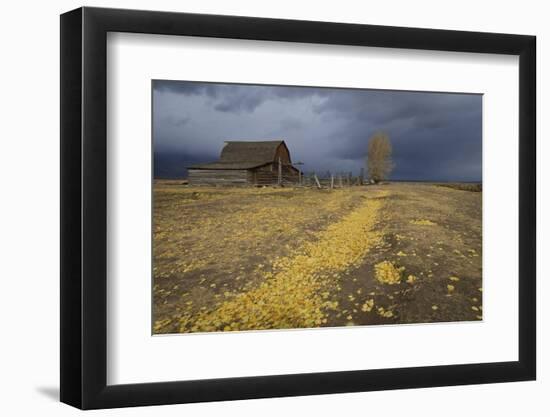 Storm Approaches-Eleanor-Framed Photographic Print