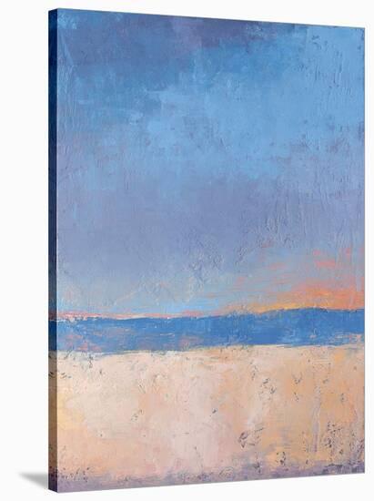 Storm Approaching-Jeannie Sellmer-Stretched Canvas