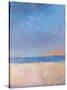 Storm Approaching-Jeannie Sellmer-Stretched Canvas