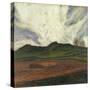 Storm Arising-Karl Nordstrom-Stretched Canvas