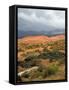 Storm at Coral Pink Sand Dunes State Park, Utah, USA-Diane Johnson-Framed Stretched Canvas