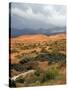 Storm at Coral Pink Sand Dunes State Park, Utah, USA-Diane Johnson-Stretched Canvas